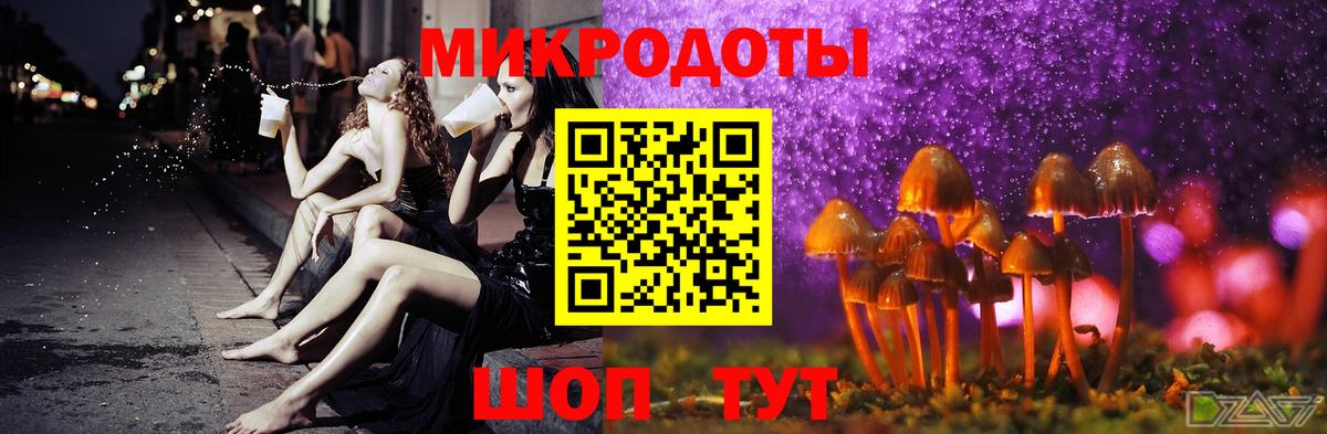 купить наркоту  Галлюциногенные грибы Magic Shrooms  Вход с VPN  Борзя 